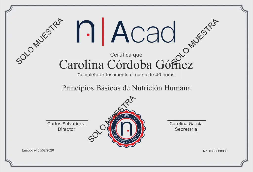 diploma_neuroela_académico